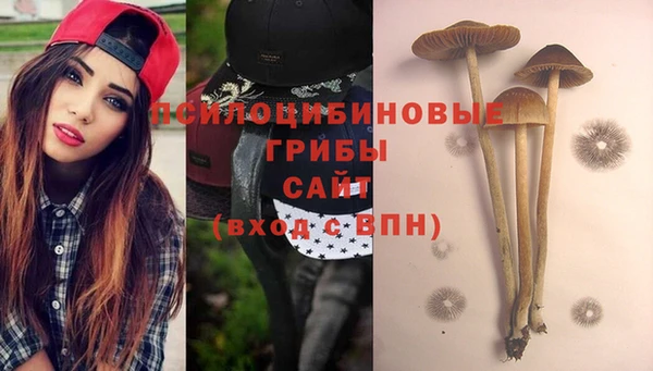 тгк Аркадак