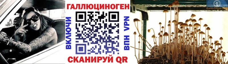 Галлюциногенные грибы ЛСД купить закладку Печора